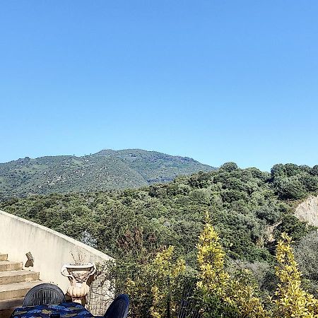 Grand Appartement Spacieux A 5 Min Du Centre Ville Ajaccio  Luaran gambar